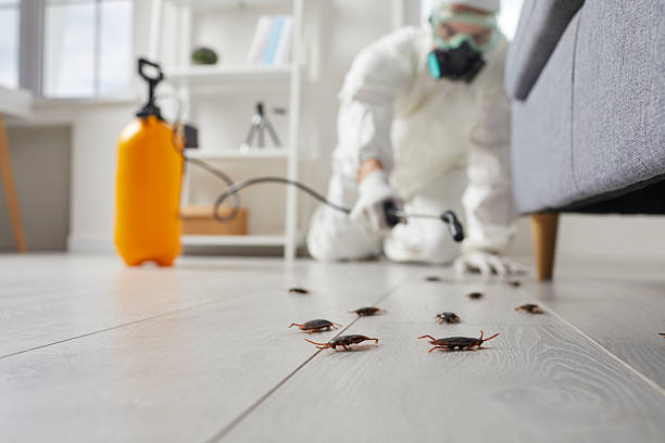 Trusted Cockroach Control service in Westover, AL - Nex Pest Control