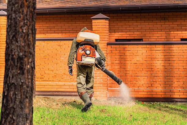 Trusted Termite Control service in Westover, AL - Nex Pest Control
